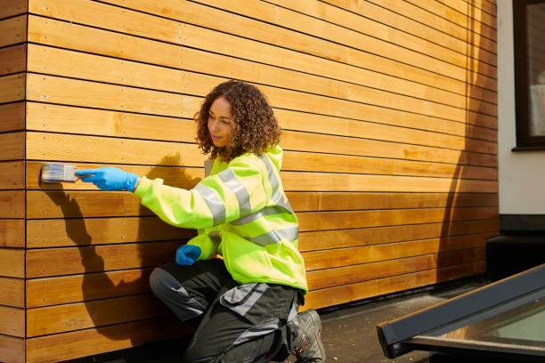 Best Siding Removal and Disposal  in Keyser, WV